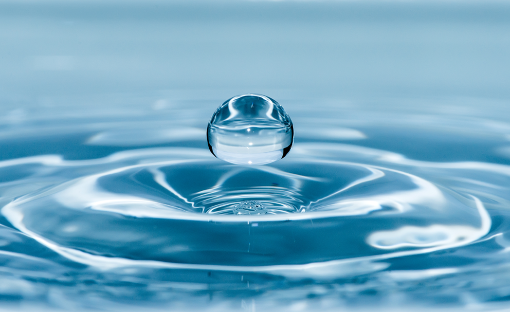 깨끗함에 타협하지 않습니다.